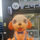 더문 동물병원 네이버블로그