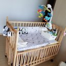 울산피터래빗 이미지