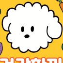 맛있개 건강하개 | [강아지 사료 추천] 밥태기 극복! 기호성 끝판왕 '건강하개 건강한끼' 리얼 후기