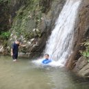 촉수엄금 이미지