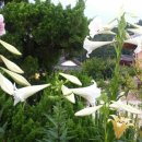 지리산한옥민박 이미지