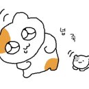 주식회사 깐부 이미지