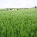 양현농장 이미지