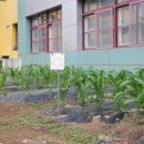 대천동대초등학교 이미지