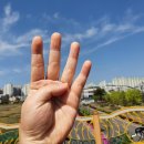 신대생태회랑 이미지