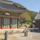 더 세리 호스텔 이미지