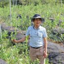 지리산 매화골 힐링농원 이미지