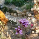 화백농장 이미지