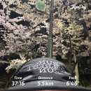 심청이칼국수 | 2026 week 16 사부작사부작