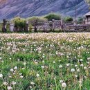 아름다운민박 이미지