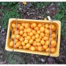 바산농장 이미지