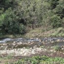 양평 애화몽 워크샵 단체 수영장 펜션 | 자연과의 동화 가능한 양평 애화몽 워크샵 단체 수영장펜션