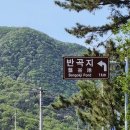 *경산시 남산면 반곡리246(반곡지)4월14일*1 이미지