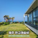 제주 에어비앤비 독채숙소추천 : 한경면 숙소 흰고래숨비 인생숙소각 차귀도와 신창풍차해안뷰가 예술