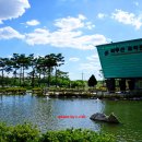 최무선관 이미지