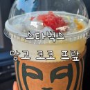 스타벅스 신메뉴 자몽 망고 코코 프라푸치노 솔직 후기