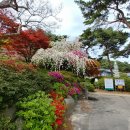 광덕사약수터 이미지