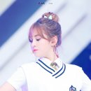 동반인