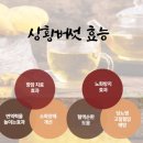 재일농장 이미지