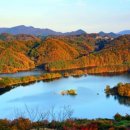 (여행) "한 곳에서 단풍 명소 모두 즐길 수 있다"... 가을 풍경이 아름다운 충북 옥천 여행 이미지