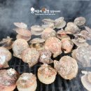 태안 알로하오에 애견풀빌라 이미지