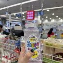 (주)아성다이소 광명사거리점 | [광명/철산] 2025 광명 페스티벌 🎸 자우림 크라잉넛 심아일랜드 극아타 🐯