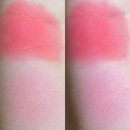 쿨 퍼피 이미지