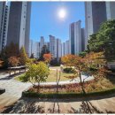 친한공인중개사사무소 이미지