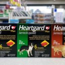 우리들온누리약국 이미지