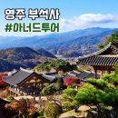 장류마실 | 영주 부석사 소수서원 무섬마을 당일치기 아너드 투어 아너드 여행사