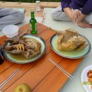 인석농장 Daum카페