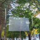 큰마을 스크린 이미지