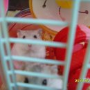 도봉-도봉-서울도봉-2045 이미지