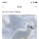 담비 이미지