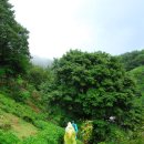 서산대사 옛길 | 서산대사 옛길 (2)