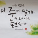 (주)피딜 티스토리