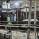 수원-0198 이미지