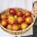 대저엽채산지유통센터 | 대석 자두 산지 직송 구매 알아보기, 마트랑 뭐가 다를까요?