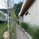 서상 | [ 춘천 ] 춘천 감성숙소 서상 스테이 1동 후기 (자쿠지, 식기, 넷플릭스)