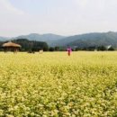 웰빙간식 이미지