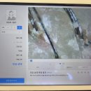 지성헤어크리닉 이미지