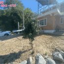 세동2통경로당 이미지