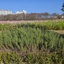 (주)호텔아리나 이미지