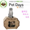 네코하우스 이미지