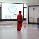 용호태권도 이미지