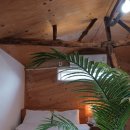 제주독채펜션돌집감성숙소돌담점 이미지