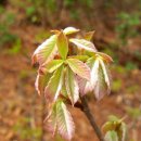 서창어린이집 이미지