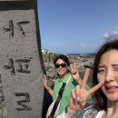 몽이의 견주일기] 애견 동반 제주도 여행 2탄 ㅣ 애견동반 마라도 가파도 청보리축제 후기