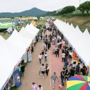 영산포홍어 이미지