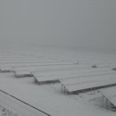 녹지태양광발전소 이미지